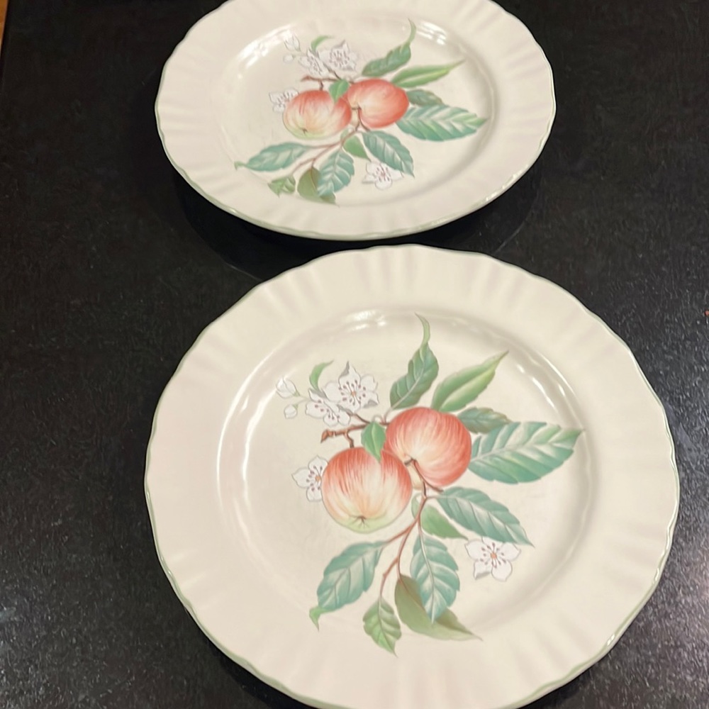 11" Dinner Plate - Mikasa Country Classics Norfolk (Set of 2)